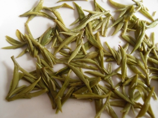  明前特级 碧螺春  新茶50克 特价 包邮 全芽心 洞庭碧螺春