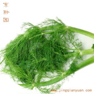  【京黔园】绿色蔬菜香料 怀香 香丝菜 小茴香 茴香北京买香料配送