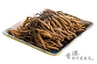  新行家 精品西藏高原雪山冬虫夏草5根/克 香港实体店正品保证