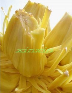  新鲜水果  消肿减肥水果 菠萝蜜 除口腔异味 拨好的果肉 菠萝蜜