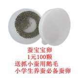 taobao english 14355831420