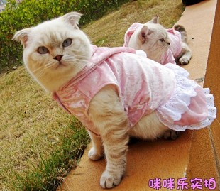淘宝首家专业猫衣服--樱桃小丸子情侣款天鹅绒