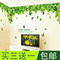 上下架计划:墙贴 客厅 电视墙 大型绿叶清新可移除大型墙贴特价包邮卧室浪漫