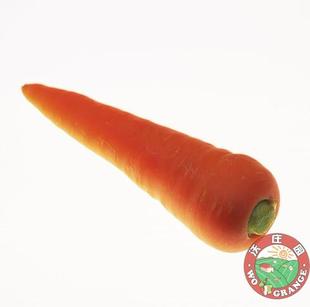  沃庄园精品胡萝卜1斤,防癌抗癌美容养颜新鲜蔬菜,今日秒杀菜市场