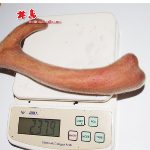  [林岛]头茬新鲜鹿茸年新鲜头茬整枝鹿茸 特肥嫩仅售2.2元每克