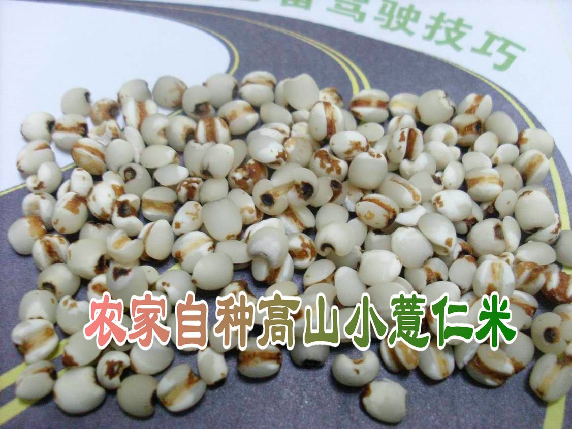 农家山薏米新货小薏米红豆粥薏仁米薏米仁在类目 粮油米面/南北干货/调味品, 米/面粉/杂粮, 米类, 薏米中 - 来自Buy2taobao.com提供专业的淘宝代购服务