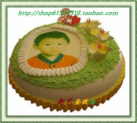 上海蛋糕房新款 照片蛋糕创意蛋糕10寸精品儿