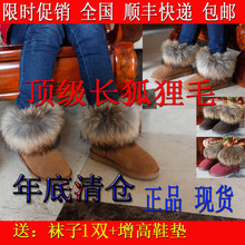 ���� ʥ�� ȫ����� �����ݻ� ����ë ѩ��ѥ ��ţƤ 5854��ѥ Ů