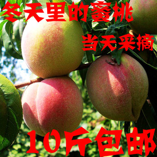  山东青州特产 新鲜水果 冬雪蜜桃 桃子 冬季水果 特价满包邮