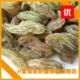 百巨王无籽葡萄干
