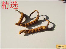 珍草堂销售同仁堂标准精选西藏那曲冬虫夏草/虫草 3条/g