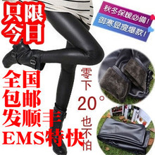 【包邮发顺丰EMS】亚光仿皮双层加厚海狸绒 莫代尔竹炭显瘦打底裤