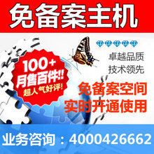 国内免备案双线1G虚拟主机ASP/PHP空间/API淘宝客/MYSQL数据库