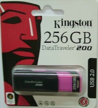 KingSton/金士顿 DT200 ...
