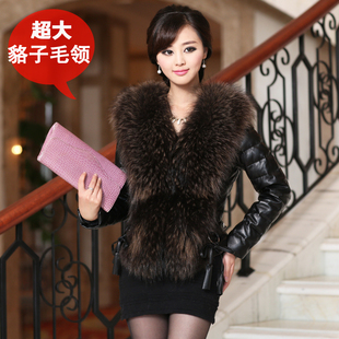  名媛海宁皮草外套新款貉子毛 短款皮羽绒服 皮衣女真皮 特价