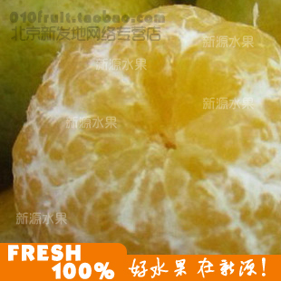  新源新鲜水果德庆贡柑净果7斤皇帝贡柑礼品水果限北京