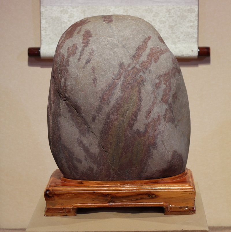 Myanmar Biology Jade tree Petrified wood Tree fossils Petrified wood SHORTS Ornamentalin the Antique/Youbi/Crafts/Collection , Ornamental/Kistler/Mineral Crystal , Fossils category - from Buy2taobao.com to provide professional Taobao agent buy service