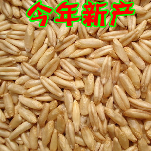  特价 新产燕麦米 莜麦 五谷杂粮 粗粮最健康 满包邮 500g 淘粮居