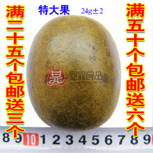 永福罗汉果特大果新鲜精选罗汉果茶 咽炎25个包邮送3个 50个送6个