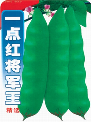 壹點紅將軍王芸豆種子 油豆3蔬菜種孑蔬菜種籽春夏秋種高産在類目 農用物資, 種子/種苗, 蔬菜種子中 - 來自Buy2taobao.com提供專業的淘寶代購服務