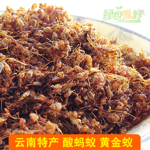 云南特产龙陵木城酸蚂蚁 黄狡蚁 黄金蚁 200克泡酒 天然食醋|ruв категории традиционные питательный пища, гомологический продовольствия, медикаментов и продовольствия, муравей - от Buy2taobao.com для оказания профессиональной услуги покупки агента Taobao