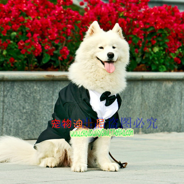 新品宠物用品大狗衣服大型犬春夏薄款单层服装西装礼服金毛萨摩在类目 宠物/宠物食品及用品, 宠物服饰及配件, 宠物服装/雨衣中 - 来自Buy2taobao.com提供专业的淘宝代购服务