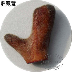  岩秀源 正品鲜梅花鹿茸 鲜鹿茸 2.6元/克 特价 鹿场直销 看图选货
