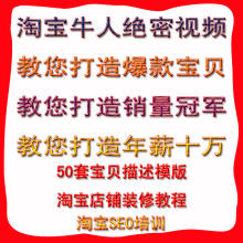 淘宝装修教程+淘宝模版+淘宝热卖秘籍+淘宝SEO培训=立即月入过万