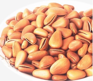  年新货特级东北野生开口大红松子250g零食2斤包邮 特价 批发