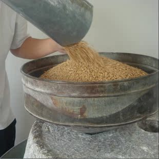  全麦面粉面粉自己家磨无添加剂高筋面绿色有机蛋糕面包粉东北特产