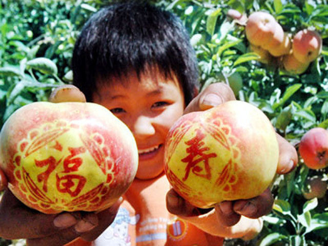 苹果长字字贴（长字苹果带字苹果字贴）