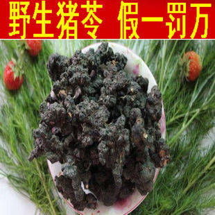  猪苓 猪苓中药材 长白山野生猪苓 中药猪苓多孔菌 灵芝真菌同仁堂