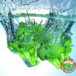  沃庄园 精品西兰花一颗约1斤,新鲜蔬菜,今日秒杀菜市场生鲜超市