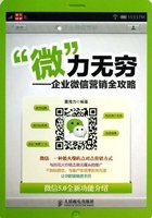 微信营销策略书籍-信投资与运营:教学、教程、方法版q洛天依图片