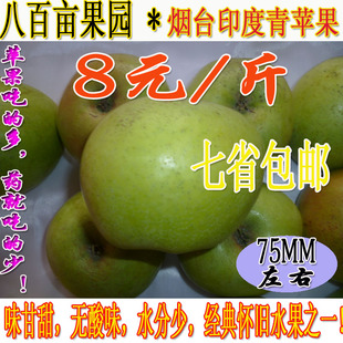  抢鲜！七省包邮新鲜苹果水果烟台苹果印度青苹果新鲜苹果