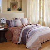 �����ҷ� AY892-4 �ļ���