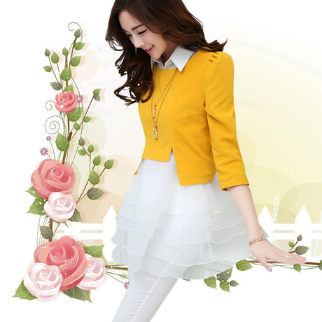 2014春装新款韩版女装甜美蓬蓬裙两件套短外