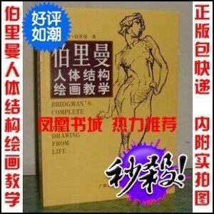 正版包快递 实拍图！伯里曼人体结构绘画教学 大16开 美术必读书