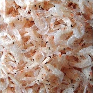  虾皮5.1特价干虾皮小虾米海米海虾虾仁渔民晒虾类制品【1斤包邮】