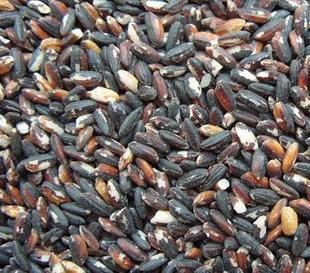  真心推荐新货血糯 粗粮 稀有杂粮 新米 优质血糯米 黑糯米 500克