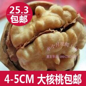 大核桃新货包邮 500g新疆薄皮非纸皮核桃 2011新鲜坚果批发