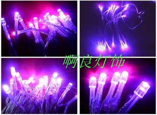  LED电池灯 情人节灯/喜庆灯/星星灯5米40珠紫色装饰灯