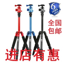 包邮 思锐最新微单T-005+C10云台三脚架套装 T005+C10三色脚架