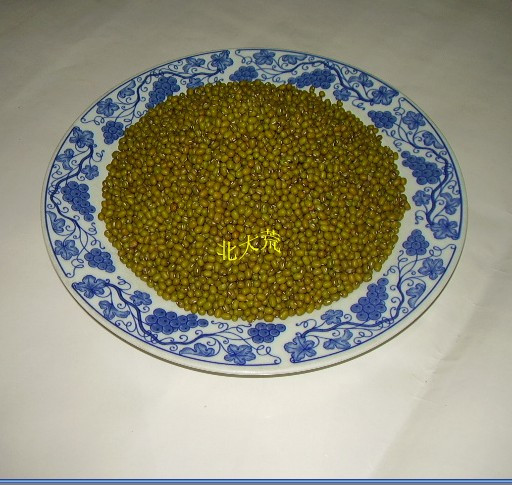 綠豆 東北綠小豆生綠豆芽的新綠豆包郵在類目 糧油米麪/南北乾貨/調味品, 米/麪粉/雜糧, 豆類, 綠豆中 - 來自Buy2taobao.com提供專業的淘寶代購服務