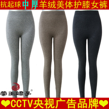 8折秒杀!蒙王正品羊绒裤女士中厚修身羊毛裤收腹护膝打底保暖裤