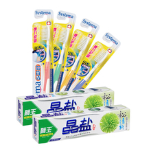 狮王弹力护龈晶盐套装 -软毛细毛咸味牙膏