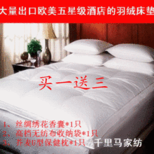 买1送3单层5cm10cm立边全立体羽绒垫羽绒床垫床褥垫被