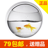 限时特价 亚克力鱼缸 生态迷你鱼缸 壁挂鱼缸 水族箱 送水草石头