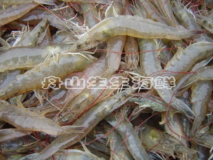  舟山鲜活海鲜特产海鲜/水产品/鲜活海捕/