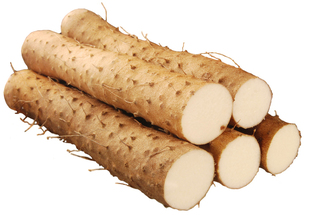  中国有机绿色食品专营 天地生 有机山药500g 北京满百包邮